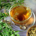 Health Benefits Of Moringa Tea