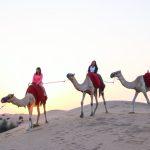 Abu Dhabi Desert Safari Budget Friendly Deals