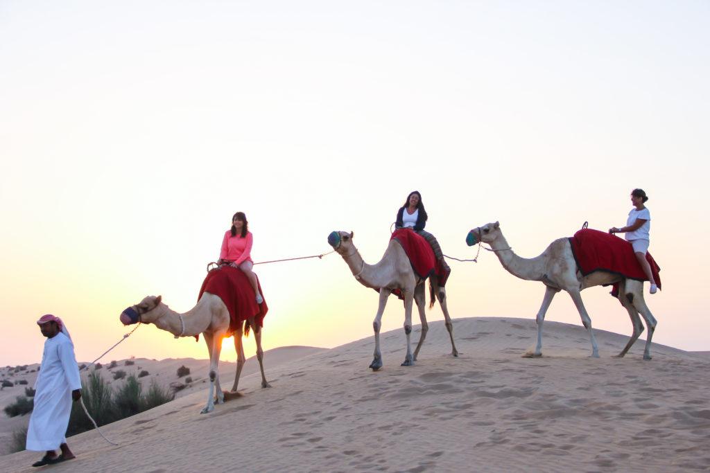 Abu Dhabi Desert Safari Budget Friendly Deals