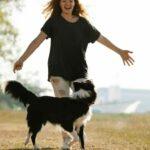 Keeping Your Border Collie in Peak Health and Fitness