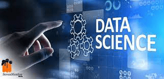 What is a Data Scientist’s Role?