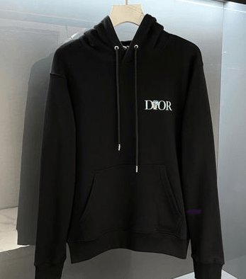 Dior Hoodie Limited Edition Releases in Luxury