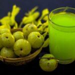Unveiling the Sweet Revolution: Market Trends in the Fruit Concentrate Industry