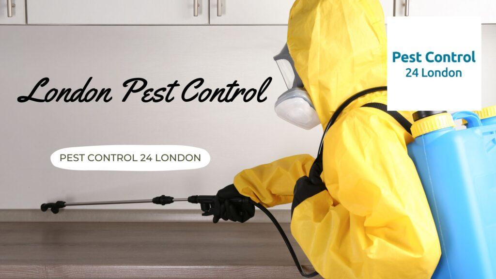 London Pest Control Services provides effective pest control services.