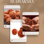 Unlocking the Power of Rudraksha Mala Beads