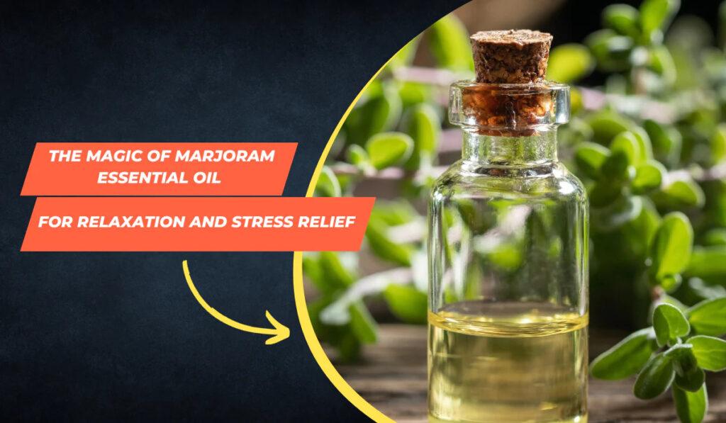 Unwind and Rejuvenate: The Magic of Marjoram Essential Oil for Relaxation and Stress Relief