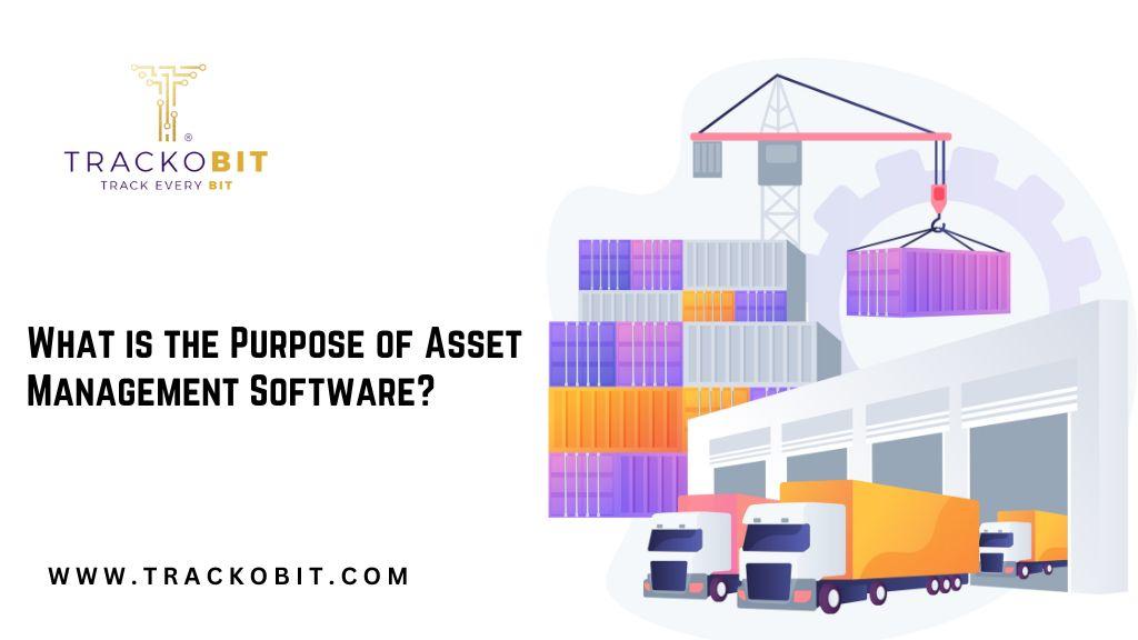 What is the Purpose of Asset Management Software?