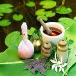 kerala ayurveda courses