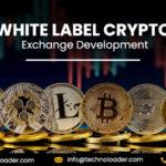 White Label Crypto Exchange Development – Technoloader