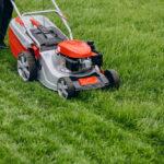 Best Lawn Care Companies in Mississauga: A Comprehensive Guide