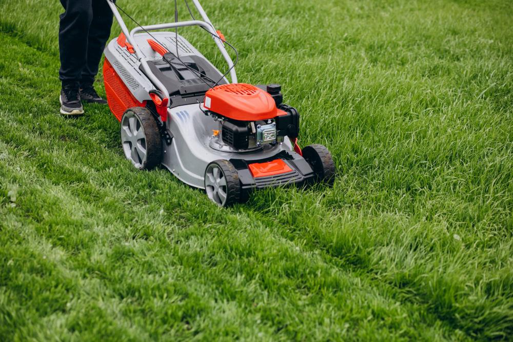 Best Lawn Care Companies in Mississauga: A Comprehensive Guide