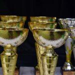 Celebrating Excellence: A Closer Look at Sports Awards