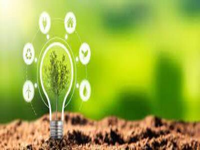 Bioenergy Market Size is Predicted to Reach 228.1 GW by 2028