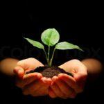 Biofertilizer Market worth US$ 5.8 Billion by 2028 – Exclusive Report by IMARC Group