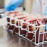 Setting Up a Successful Blood Bags Manufacturing Plant: Project Report 2024