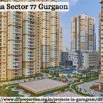 DLF Privana Sector 77 Gurgaon: Prime 4 BHK residential Flats