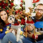Decide whether to get a pet for your family this Christmas