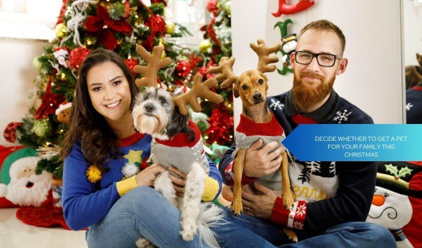 Decide whether to get a pet for your family this Christmas