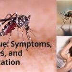 Dengue: Symptoms, Causes, and Medication