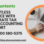 Effortless Finance with Accurate Tax and Accounting Support