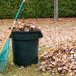 7 Tips for Choosing the Right Rubbish Collection Services Provider