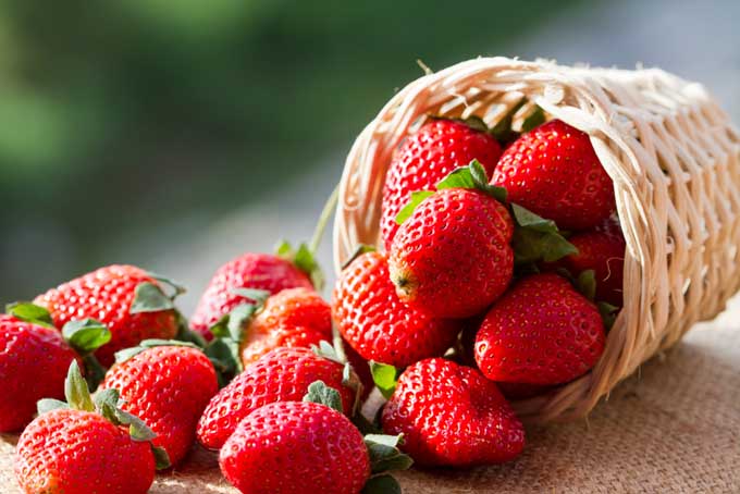 Well being and Pores and skin Advantages of Strawberries