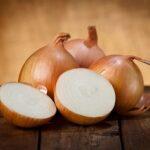 Onion Processing Plant Project Report 2024: Requirements and Cost Involved