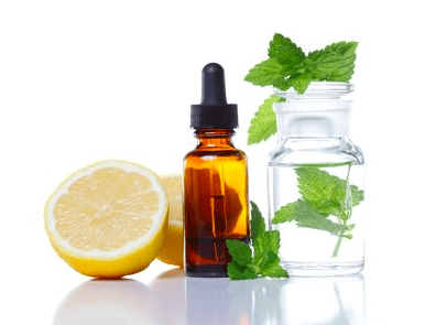 Harnessing Nature’s Calm: Exploring the Healing Properties of Lemon Balm Essential Oil