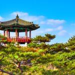 South Korea Visa for Indians: Requirements and Visa Fees