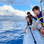 Whale Watching: An Unforgettable Hawaiian Vacation Activity