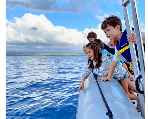 Whale Watching: An Unforgettable Hawaiian Vacation Activity