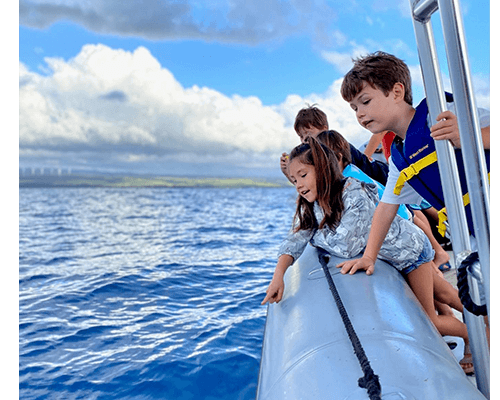 Why is Whale Watching Season Important in Oahu & When is it?
