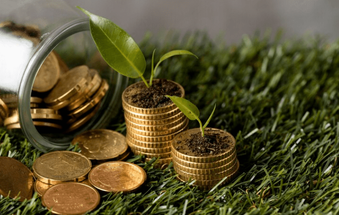 Green Financing and Debt