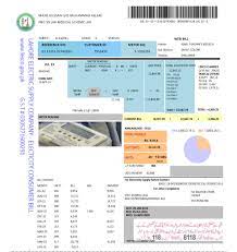 Effortless Guide: Check Lesco Bill Online in Pakistan