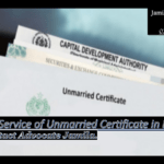 Get Unmarried Certificate Online Apply Pakistan (2023) Online