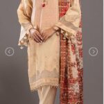 Buy Partywear Pakistani Clothes Online In The USA