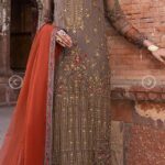 Beautiful Pakistani Clothes Online In The USA